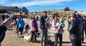 Lorca celebrará el Día de San Antón con una ruta canina al Castillo y la bendición de animales