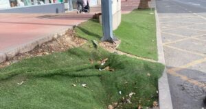 El PSOE exige el arreglo y adecuación de los parterres ubicados en la Avenida Adolfo Suárez en La Viña, de manera urgente
