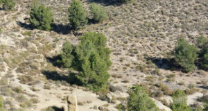 Rescatado un senderista de 74 años tras sufrir un desvanecimiento en una zona de difícil acceso en Lorca