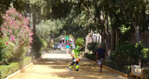 La ‘ola de calor’ lleva a Parques y Jardines a realizar riegos estratégicos y un continuo seguimiento a los árboles que pueden sufrir fatiga y estrés térmico