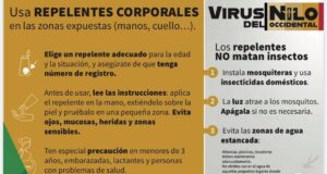 Oleada de mosquitos y alerta por el virus del Nilo en Pulpí: preocupación entre los veraneantes lorquinos en Terreros
