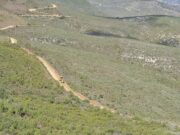 Medio Ambiente inicia la recuperación de hábitats degradados con semillas locales obtenidas mediante recolección manual