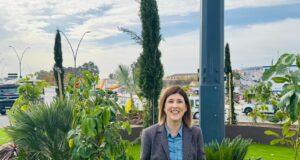 La rotonda situada junto al Complejo Deportivo Felipe VI ya luce su nuevo entorno mejorado