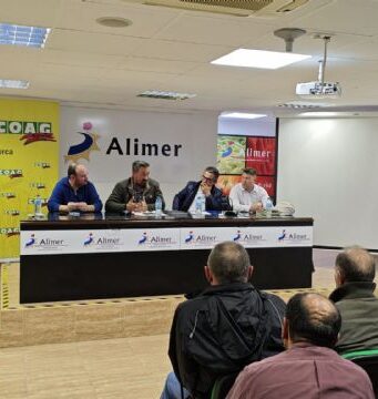 El Ayuntamiento de Lorca reclama al Gobierno de España la autorización excepcional de productos específicos contra la plaga de pulgón