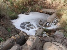 IU denuncia ante el SEPRONA la contaminación de ríos y ramblas de Lorca en vísperas de la celebración del “día mundial de acción por los ríos” IU denuncia ante el SEPRONA la contaminación de ríos y ramblas de Lorca en vísperas de la celebración del día mundial de acción por los ríos