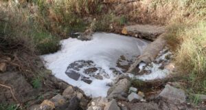 IU denuncia ante el SEPRONA la contaminación de ríos y ramblas de Lorca en vísperas de la celebración del “día mundial de acción por los ríos” IU denuncia ante el SEPRONA la contaminación de ríos y ramblas de Lorca en vísperas de la celebración del día mundial de acción por los ríos