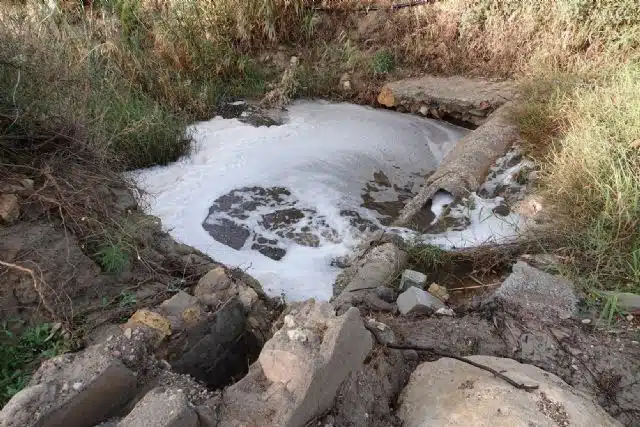 IU denuncia ante el SEPRONA la contaminación de ríos y ramblas de Lorca en vísperas de la celebración del día mundial de acción por los ríos IU denuncia ante el SEPRONA la contaminación de ríos y ramblas de Lorca en vísperas de la celebración del día mundial de acción por los ríos