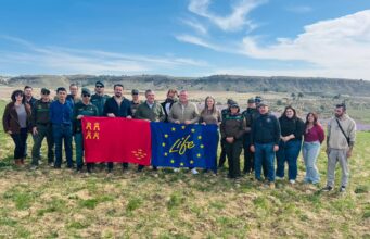 Las Tierras Altas consolidan a Lorca como enclave estratégico de la Región para la recuperación del lince ibérico con la suelta de dos ejemplares juveniles