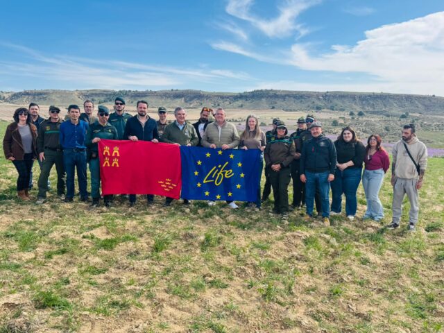 Las Tierras Altas consolidan a Lorca como enclave estratégico de la Región para la recuperación del lince ibérico con la suelta de dos ejemplares juveniles