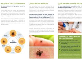 lorca alerta del aumento de parásitos en primavera y refuerza las recomendaciones para proteger a mascotas y ciudadanos