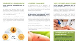 Lorca alerta del aumento de parásitos en primavera y refuerza las recomendaciones para proteger a mascotas y ciudadanos lorca alerta del aumento de parásitos en primavera y refuerza las recomendaciones para proteger a mascotas y ciudadanos