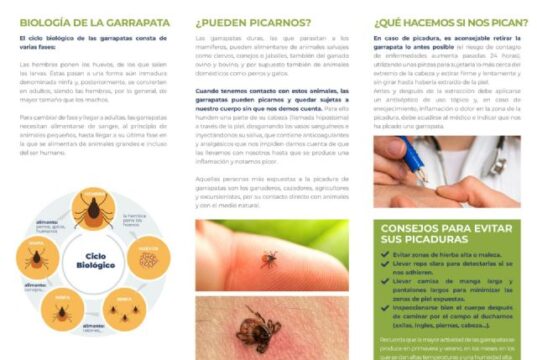 Lorca alerta del aumento de parásitos en primavera y refuerza las recomendaciones para proteger a mascotas y ciudadanos lorca alerta del aumento de parásitos en primavera y refuerza las recomendaciones para proteger a mascotas y ciudadanos