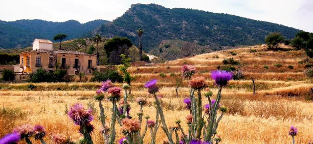 9 años después el pleno debatirá sobre el cejo de los enamorados y la oportunidad declararlo monumento natural4