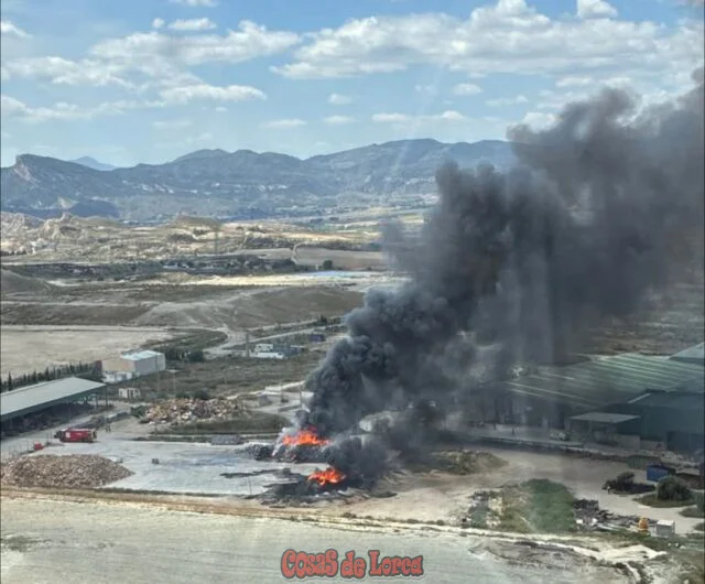 Medios aéreos y terrestres luchan contra un incendio en el vertedero de Lorca