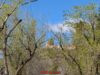 El Ayuntamiento de Lorca refuerza los tratamientos para controlar las poblaciones de mosquitos en la ciudad el ayuntamiento de lorca refuerza los tratamientos para controlar las poblaciones de mosquitos en la ciudad