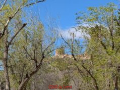 El Ayuntamiento de Lorca refuerza los tratamientos para controlar las poblaciones de mosquitos en la ciudad el ayuntamiento de lorca refuerza los tratamientos para controlar las poblaciones de mosquitos en la ciudad