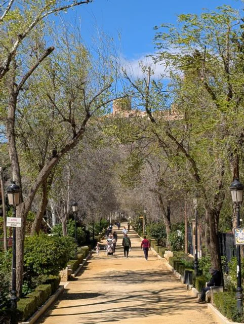 el ayuntamiento de lorca refuerza los tratamientos para controlar las poblaciones de mosquitos en la ciudad