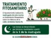 El Ayuntamiento realizará la madrugada de este martes un tratamiento fitosanitario sobre los hibiscos de la calle Jerónimo Santa Fe fb img 1782152189884