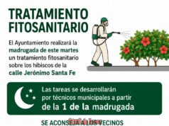 El Ayuntamiento realizará la madrugada de este martes un tratamiento fitosanitario sobre los hibiscos de la calle Jerónimo Santa Fe fb img 1782152189884