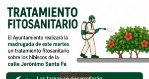 El Ayuntamiento realizará la madrugada de este martes un tratamiento fitosanitario sobre los hibiscos de la calle Jerónimo Santa Fe El Ayuntamiento realizará la madrugada de este martes un tratamiento fitosanitario sobre los hibiscos de la calle Jerónimo Santa Fe