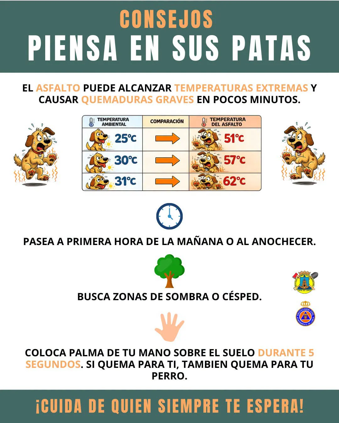fb img 1782220393876