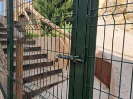 el psoe denuncia que el pp y vox mantienen cerrado el mirador del cabezo de las palas y convierte una inversión pública en una obra de escaparate