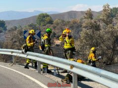 El incendio forestal de Aguaderas queda perimetrado tras un amplio despliegue de medios terrestres y aéreos fb img 1783458316408
