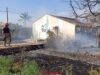 INCENDIO EN ECOHUERTO LA VEREDA DE LORCA fb img 1783693431446