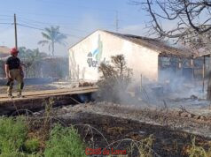 INCENDIO EN ECOHUERTO LA VEREDA DE LORCA fb img 1783693431446
