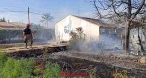 INCENDIO EN ECOHUERTO LA VEREDA DE LORCA fb img 1783693431446