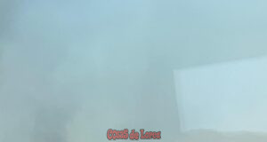 Tragedia histórica en Almería: un gran incendio forestal deja 12 muertos, 8 heridos y 23 desaparecidos en Los Gallardos img 20260710 wa0013