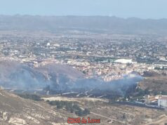 Importante despliegue del Plan Infomur para sofocar un incendio forestal en la pedanía de El Río, en Lorca img 20260711 wa0000
