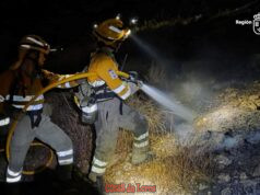 Extinguido un incendio forestal junto al antiguo matadero de Lorca img 20260828 wa0002