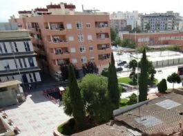 iu propone un nuevo mercado semanal que ofrezca servicio a los barrios de san cristóbal y san diego