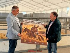 La Feria del Caballo Cruzado de Lorca: tradición ganadera y encuentro ecuestre lorca acoge este fin de semana, en el huerto de la rueda, la tradicional feria del caballo cruzado, con la exhibición de más de un centenar de ejemplares