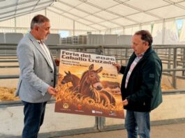 La Feria del Caballo Cruzado de Lorca: tradición ganadera y encuentro ecuestre lorca acoge este fin de semana, en el huerto de la rueda, la tradicional feria del caballo cruzado, con la exhibición de más de un centenar de ejemplares