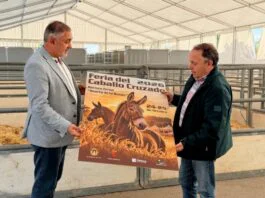 La Feria del Caballo Cruzado de Lorca: tradición ganadera y encuentro ecuestre lorca acoge este fin de semana, en el huerto de la rueda, la tradicional feria del caballo cruzado, con la exhibición de más de un centenar de ejemplares