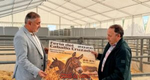 La Feria del Caballo Cruzado de Lorca: tradición ganadera y encuentro ecuestre lorca acoge este fin de semana, en el huerto de la rueda, la tradicional feria del caballo cruzado, con la exhibición de más de un centenar de ejemplares