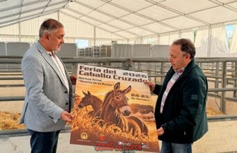 La Feria del Caballo Cruzado de Lorca: tradición ganadera y encuentro ecuestre lorca acoge este fin de semana, en el huerto de la rueda, la tradicional feria del caballo cruzado, con la exhibición de más de un centenar de ejemplares