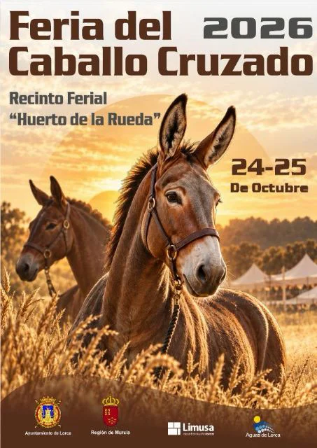 lorca acoge este fin de semana, en el huerto de la rueda, la tradicional feria del caballo cruzado, con la exhibición de más de un centenar de ejemplares2